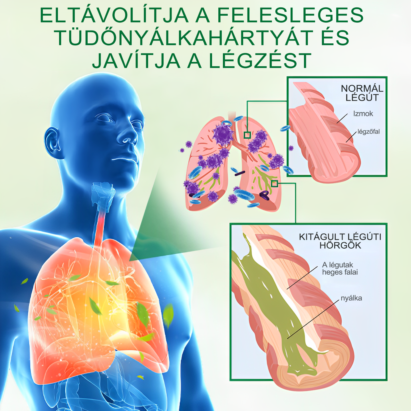 đđGratulĂĄlunk, hogy az elsĆ 200 rendelĂ©s egyike lettĂ©l! Ălvezd az extra 50% kedvezmĂ©nyt! Cselekedj most, Ă©s Ćrizd meg tĂŒdĆd egĂ©szsĂ©gĂ©t. Ha most lemaradsz, csak jövĆre lesz Ășjabb lehetĆsĂ©g!