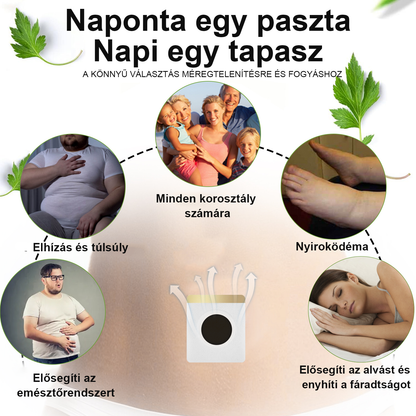 ⭐⭐⭐⭐⭐70% kedvezmény - [CE Tanúsítás] 🐝XRLXRL® Méhméreg Lymphatic Detox Fogyasztó Tapasz🔥